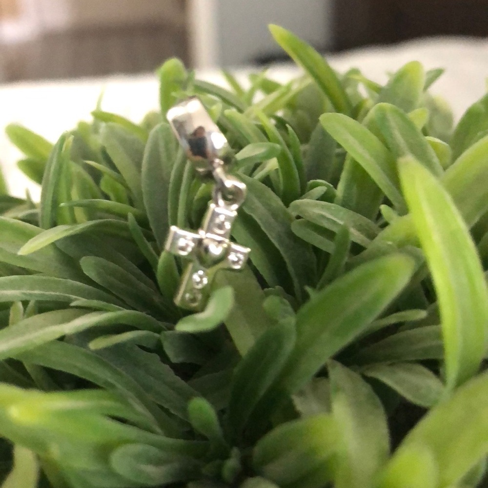Pandora Charm